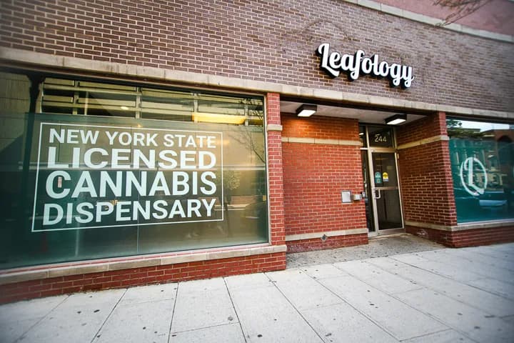 Daytime view of Leafology dispensary storefront in White Plains, NY