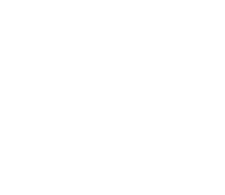 Pynns cannabis brand logo. Available at Leafology