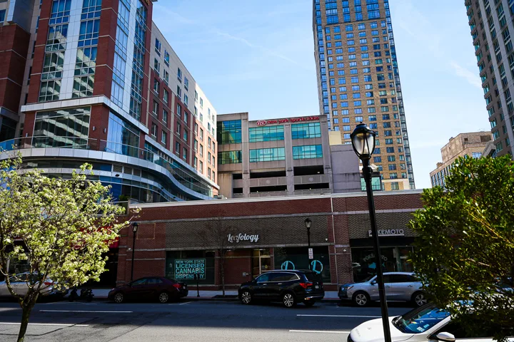 Wide view of Leafology on Main Street White Plains with high-rise residential tower above
