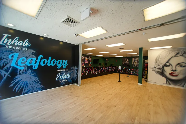 Wide interior view of Leafology showing entry, Inhale/Exhale palm wall and Marilyn mural