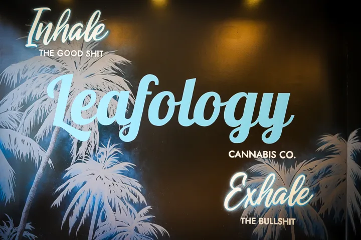 Close crop of Leafology Inhale/Exhale palm-tree mural