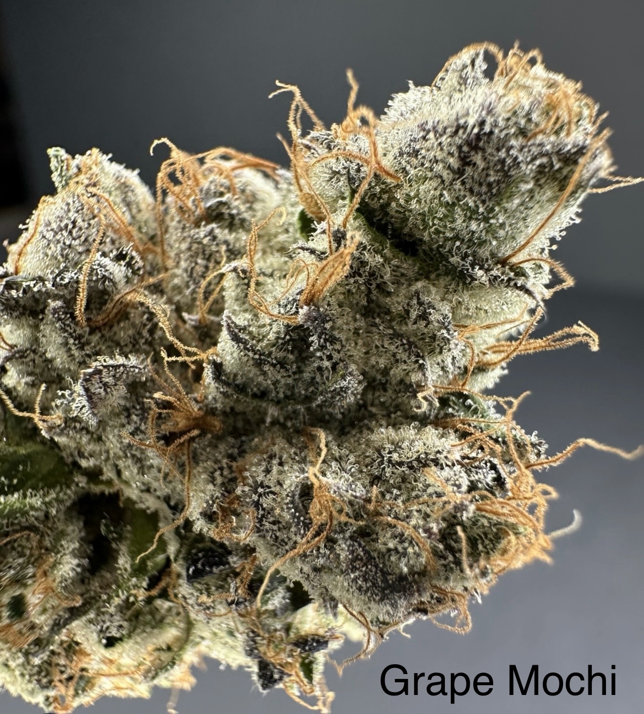 Grape Mochi cannabis flower jar