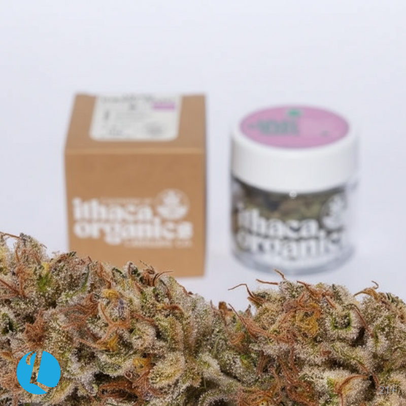 Ithaca Organics Lilac Diesel flower jar